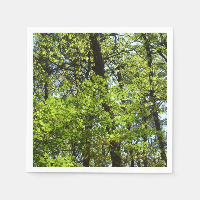 Spring Maple Leaves Nature Napkin (Front)