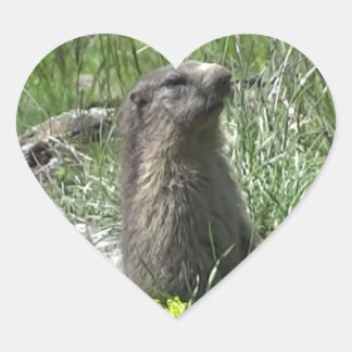 spring marmot animal flowers heart sticker