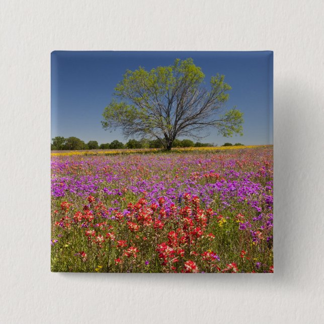 Spring mesquite trees growing in wildflowers, 15 cm square badge (Front)