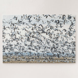 Spring Migration Puzzle