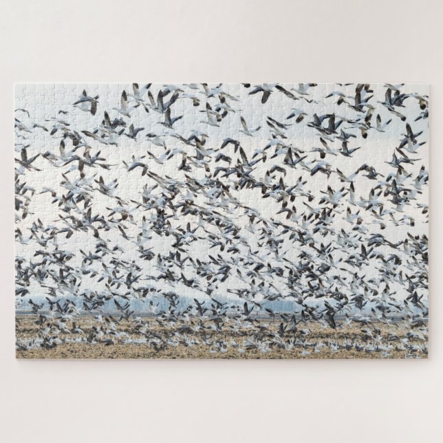 Spring Migration Puzzle (Horizontal)