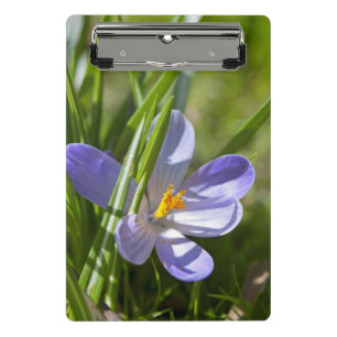 Spring Mini Clipboard