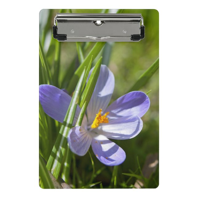 Spring Mini Clipboard (Front)