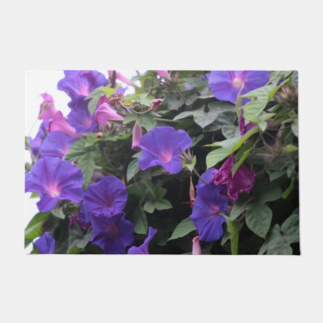 Spring Morning Glories in Blue Doormat (Front)