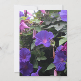 Spring Morning Glories in Blue Holiday Card