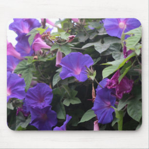 Spring Morning Glories in Blue Mouse Pad