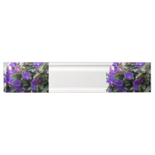 Spring Morning Glories in Blue Nameplate