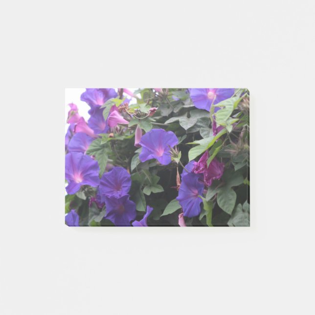 Spring Morning Glories in Blue Post-it Notes (Front)