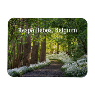 Spring Morning in Raspaillebos, Belgium Magnet