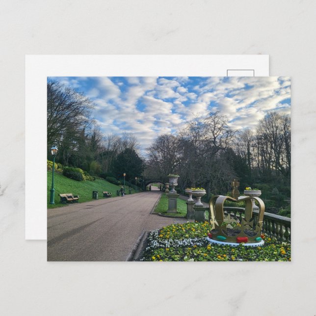 Spring Morning  Postcard (Front/Back)