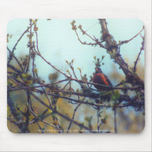 Spring Mouse Pad