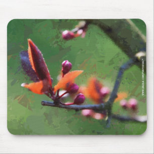 Spring Mouse Pad