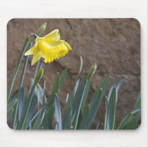 Spring! Mouse Pad