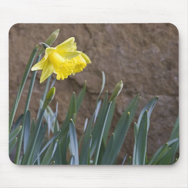 Spring! Mouse Pad (Front)