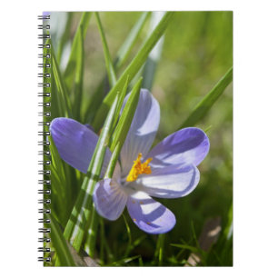 Spring Notebook