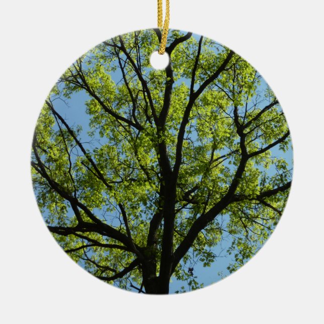 Spring Oak Tree Vibrant Nature Ceramic Tree Decoration (Front)