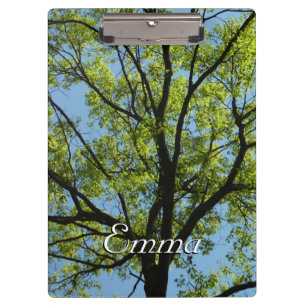 Spring Oak Tree Vibrant Nature Clipboard