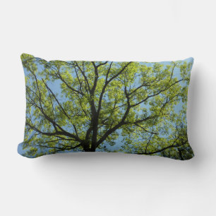 Spring Oak Tree Vibrant Nature Lumbar Cushion