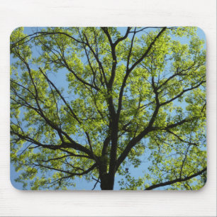 Spring Oak Tree Vibrant Nature Mouse Pad
