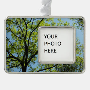 Spring Oak Tree Vibrant Nature Silver Plated Framed Ornament