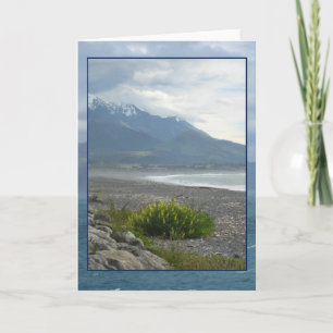 Spring on a Kaikoura Beach Greeting Card