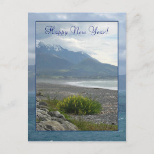 Spring on a Kaikoura Beach Postcard