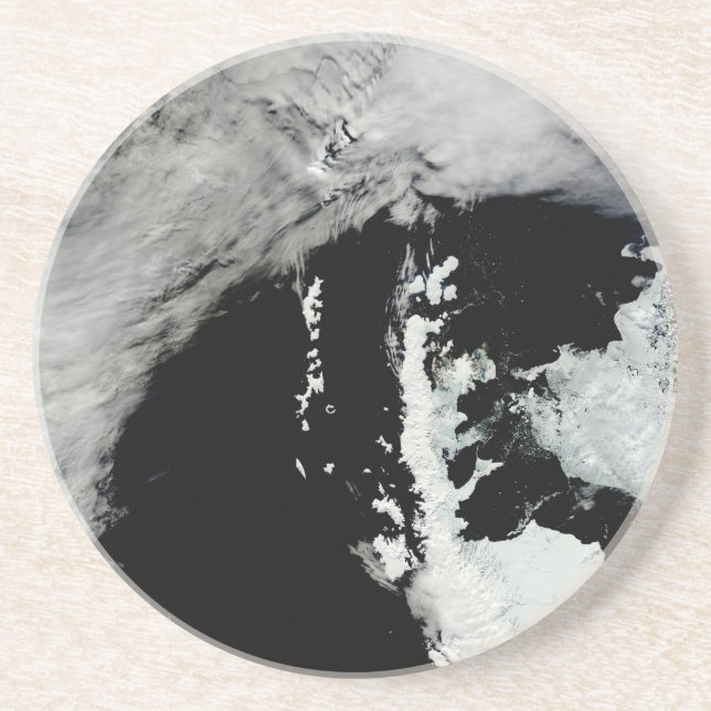 Spring on Antarctic Peninsula Sandstone Coaster (Front)