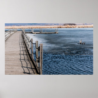 Spring on the Marsh Poster