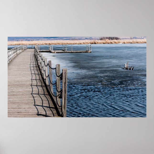 Spring on the Marsh Poster (Front)