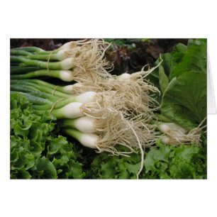 Spring onions and lettuce