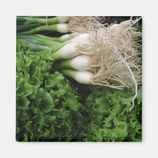 Spring onions and lettuce magnet