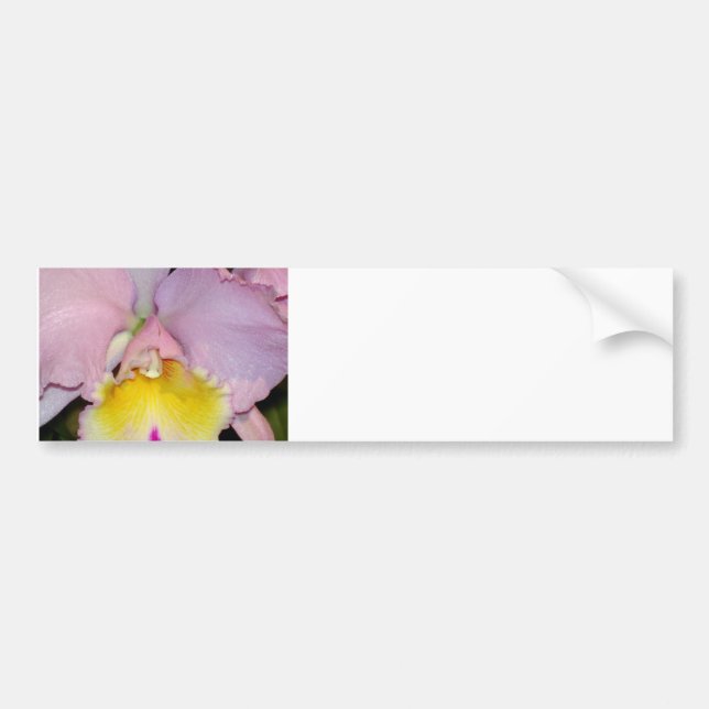Spring Orchid Bumper Sticker (Front)