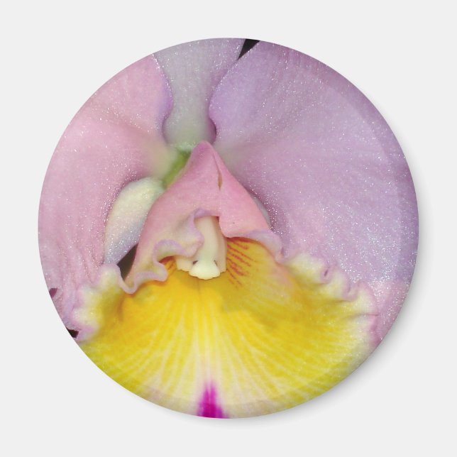 Spring Orchid Magnet (Front)