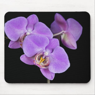 Spring Orchids Mouse Pad