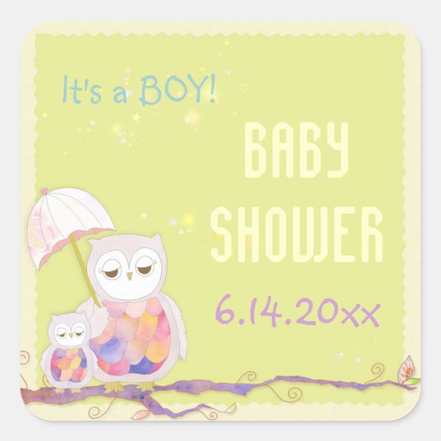 Spring Owls Baby Boy Shower Square Sticker (Front)