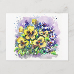 Spring Pansies Postcard