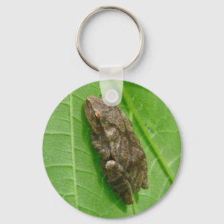 Spring Peeper (Pseudacris crucifer) Treefrog Items Key Ring