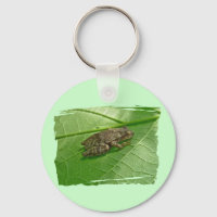 Spring Peeper (Pseudacris crucifer) Treefrog Items