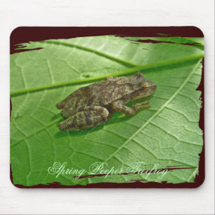 Spring Peeper (Pseudacris crucifer) Treefrog Items Mouse Pad