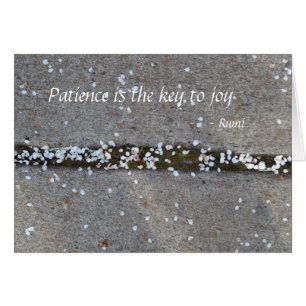 Spring Petals Rumi Joy