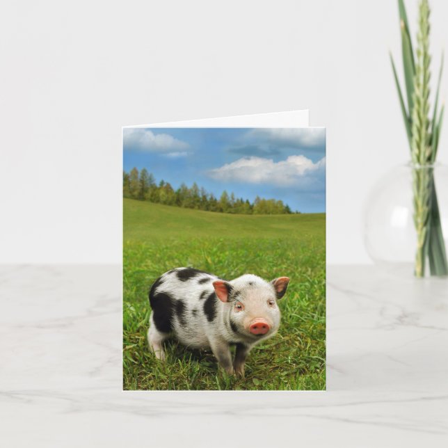 Spring piglet card (Front)
