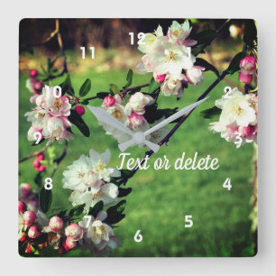 Spring Pink And White Blossoms   Square Wall Clock