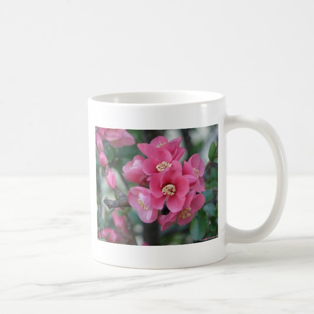 Spring Pink Blooming Flowering Quince Coffee Mug (Right)