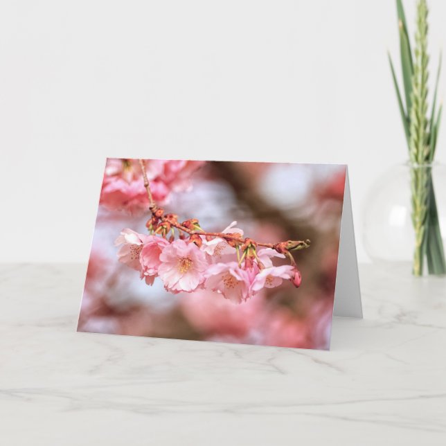 Spring pink cherry blossoms card (Front)