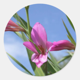 Spring Pink Flower Stickers