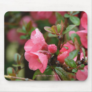 Spring Pink Flowering Quince Mouse Pad