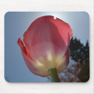 spring pink tulip flower photo art mouse pad