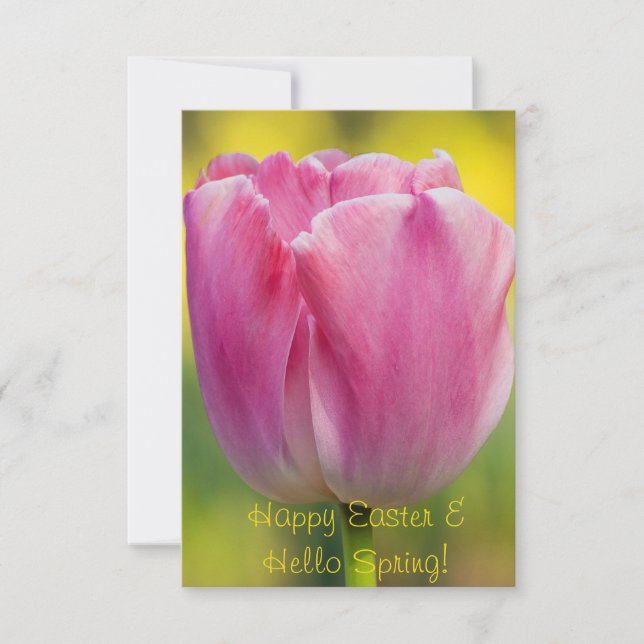 Spring Pink Tulip Greeting Card (Front)