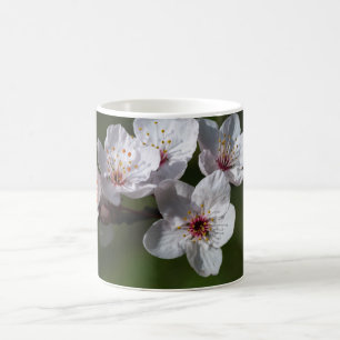 Spring plum blossoms coffee mug