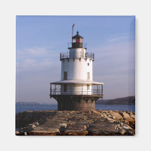 Spring Point Light Magnet